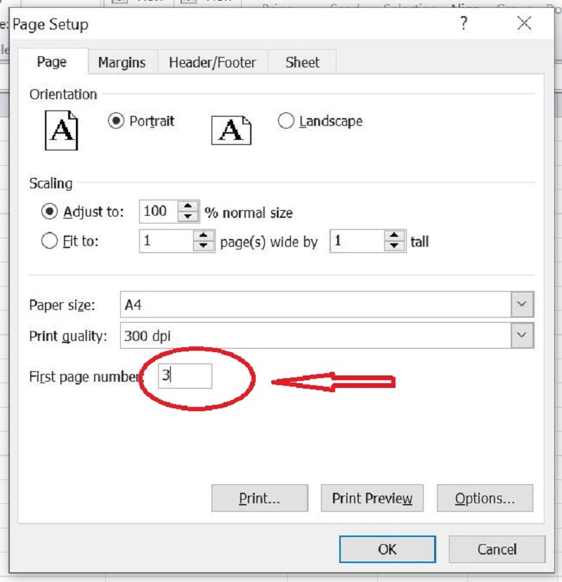 chonpagedoiautooomucfirstpagenumberthanhsotrangmabanmuon cách đánh số trang trong excel nhanh